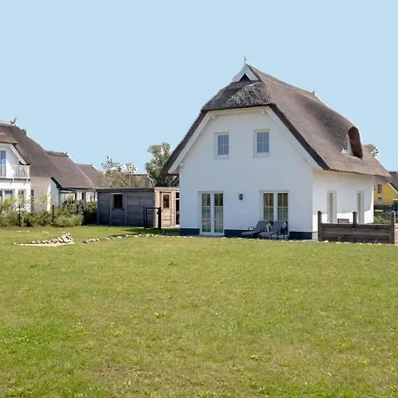 Wildrose In Der Puddeminer Wiek