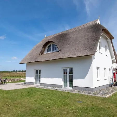 Wildrose In Der Puddeminer Wiek *