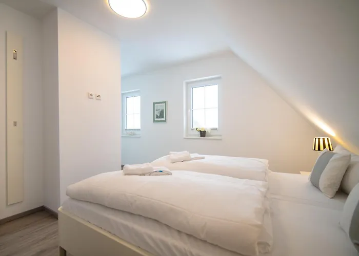 Wildrose In Der Puddeminer Wiek Puddemin