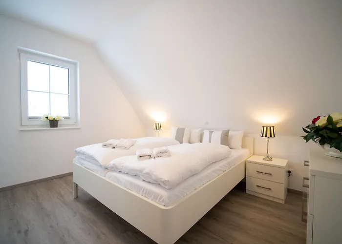 Wildrose In Der Puddeminer Wiek *