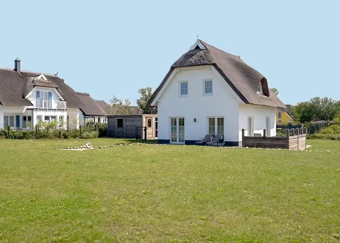 Wildrose In Der Puddeminer Wiek