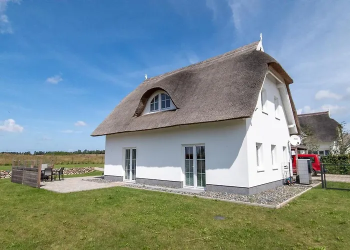 Wildrose In Der Puddeminer Wiek *